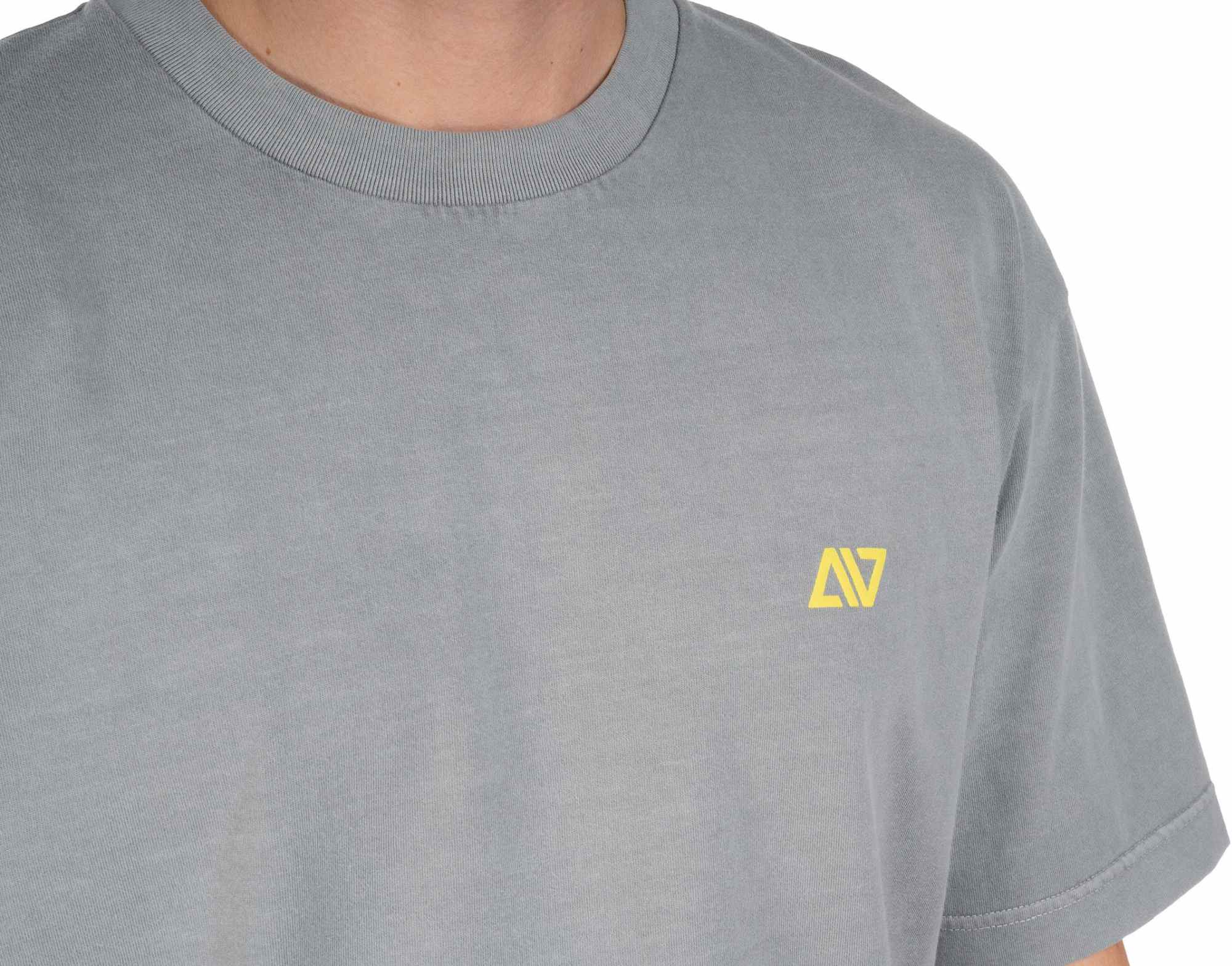 ACID ORGANIC T-SHIRT GTY FIT WASHED GREY - Image 5