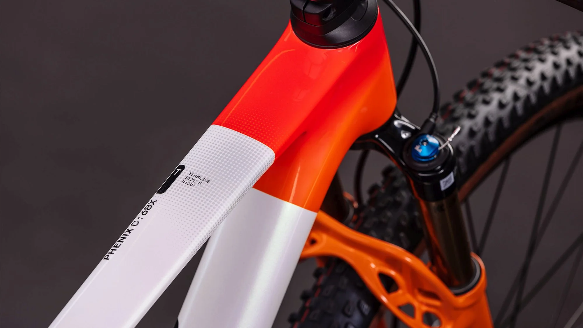 CUBE PHENIX C:68X SLX TEAMLINE - Image 2
