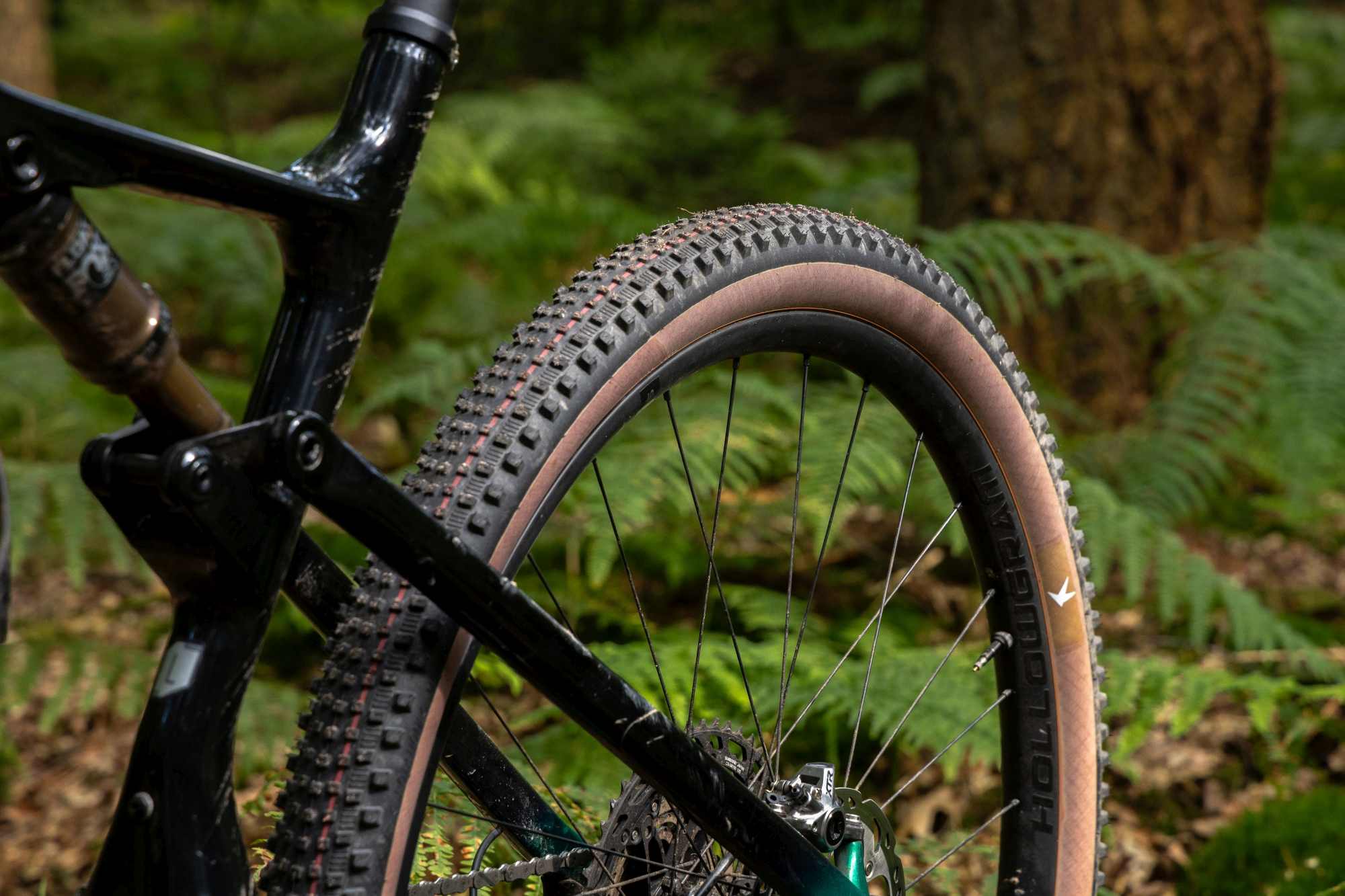 SCHWALBE RICK XC PRO EVO TLR SPEED TRANSPARENT SKIN 29X2.25 - Image 5